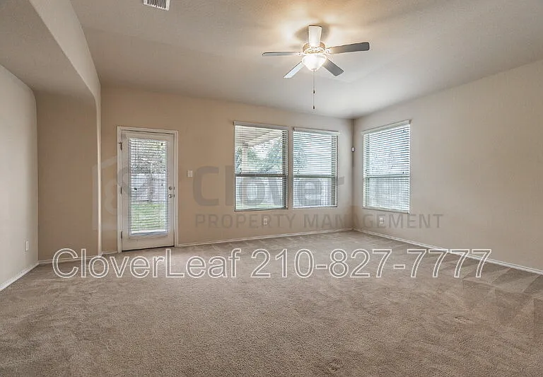 3734 Ox Eye Daisy — Photo 10