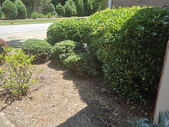 3rd image of 143 Ellis Dr