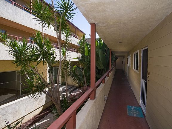 Front Door and window