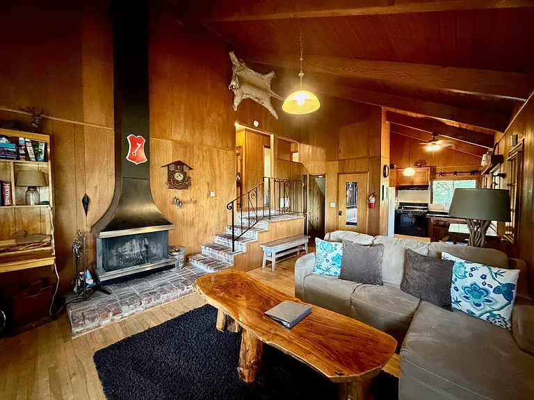 Living room with fireplace