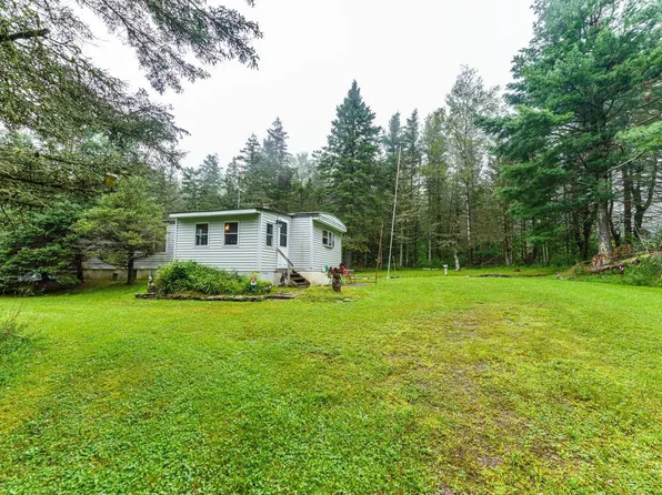 1183 Potter Mountain Road, Conesville, NY 12076