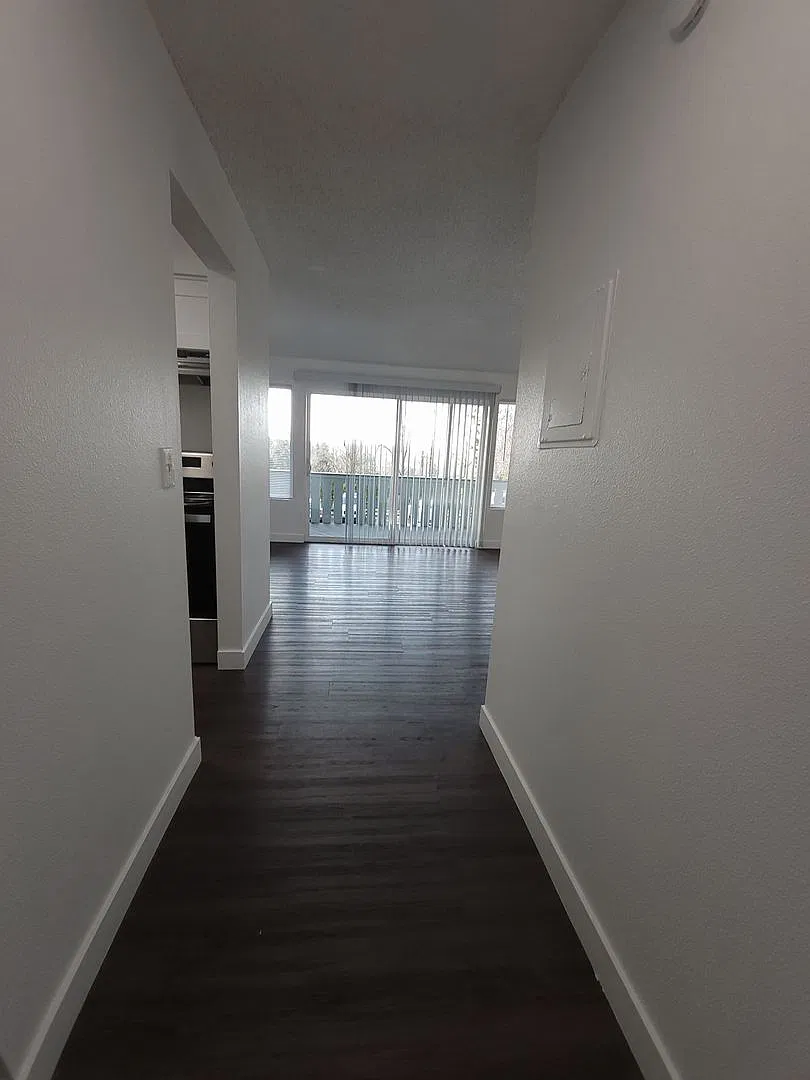 Sun Vista — Photo 4