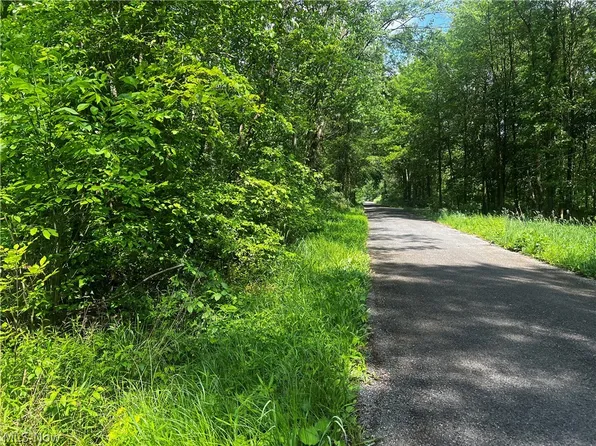 McLain Rd, Newton Falls, OH 44444
