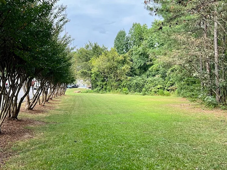 Park On Valley — Photo 5