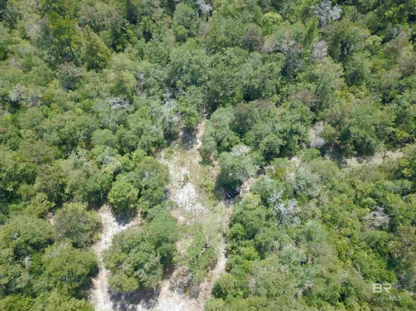 17175 Kelly Rd, Mount Vernon, AL 36560