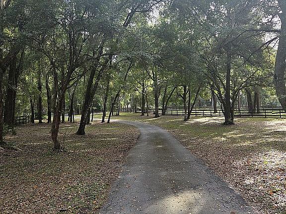 Winding Drive to road