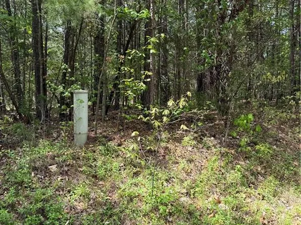 0 Clyde King Rd, Seagrove, NC 27341