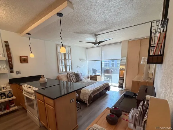 909 N Logan Street #6D, Denver, CO 80203