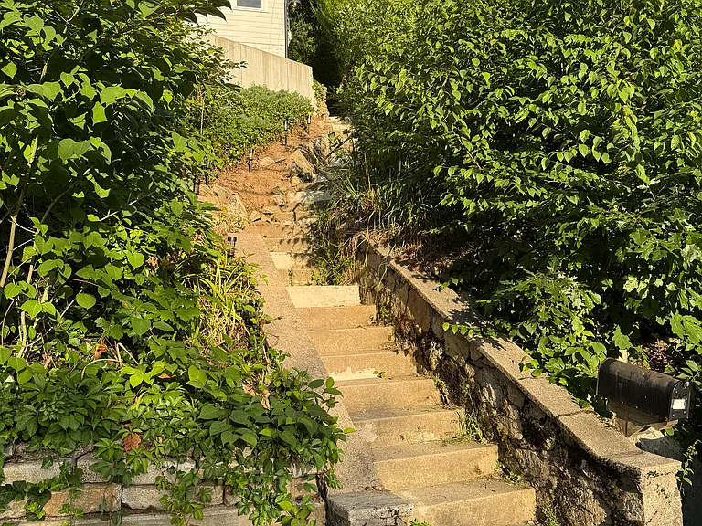 111 Westminster Rd — Photo 19