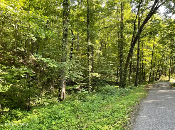 Turkey Creek Rd, Tellico Plains, TN 37385