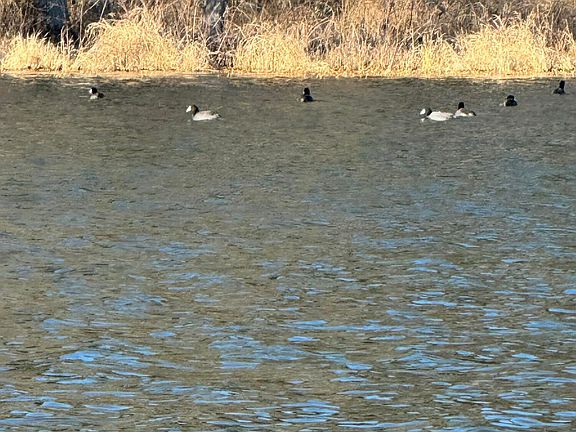 4th image of Ramsey Rd