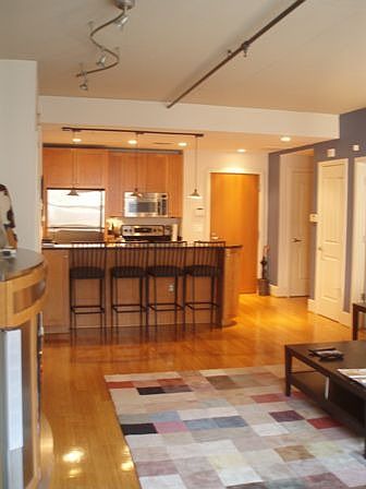 Living Room and Kitchen Area