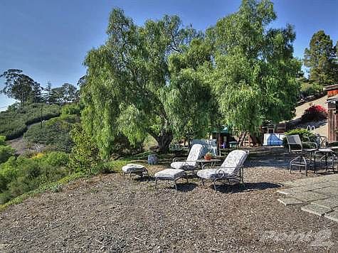 Rear yard