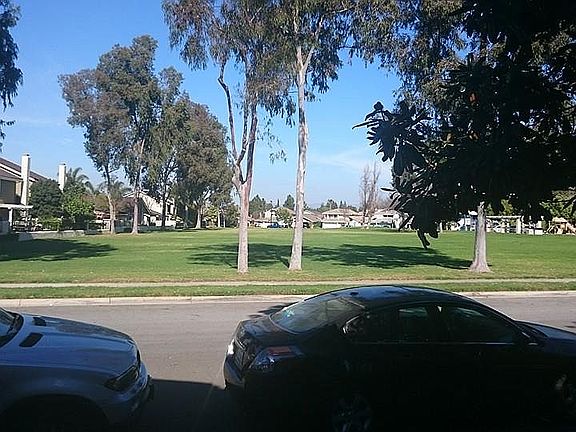 2nd image of 115 Rockwood #53
