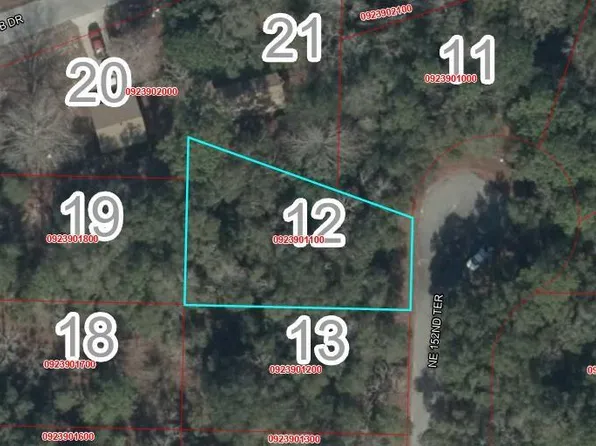 Lot 12 NE 152ND TERR LOT 12, WILLISTON, FL 32696