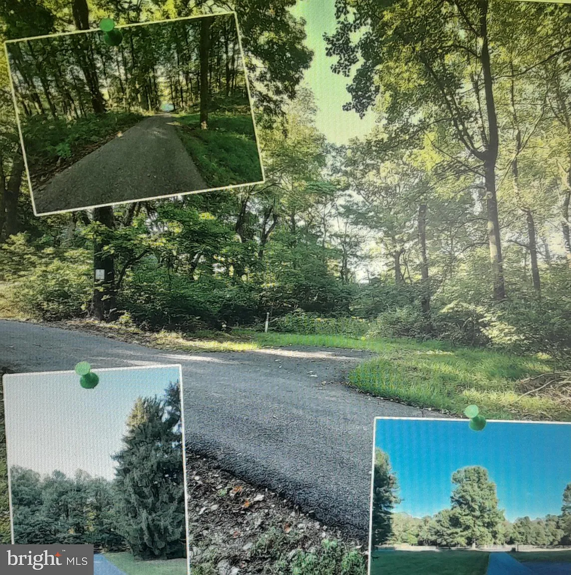 15018 Foxville Deerfield Rd photo 1