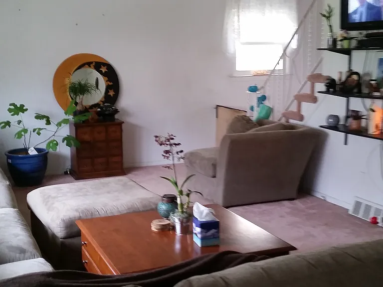 27 Nancy Dr — Photo 11