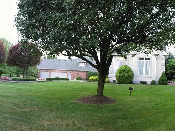 3752 Eagle Nest Dr photo 1