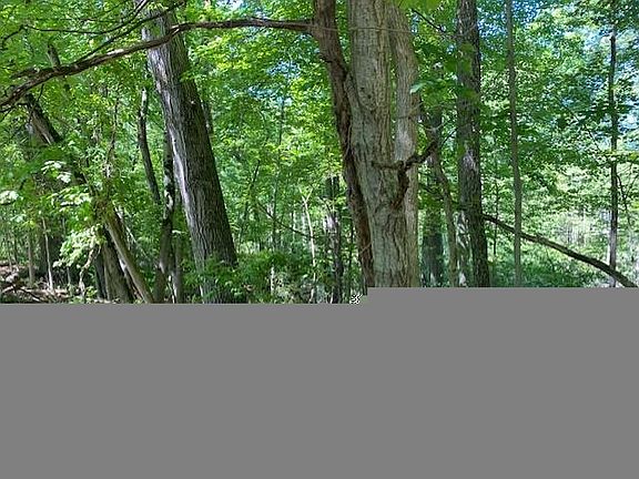 5th image of LOT 5 Dollar Ridge Ln