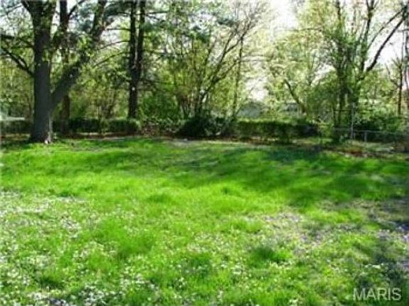 Big Backyard