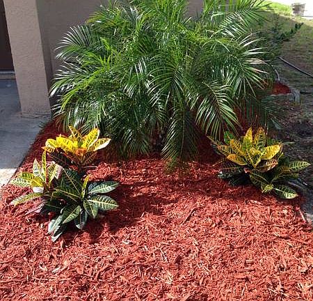 Fresh Tropical Landscaping