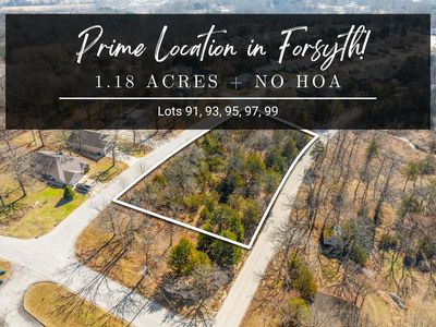Lots 91, 93, 95, 97, 99 Eagle Drive, Forsyth, MO, 65653