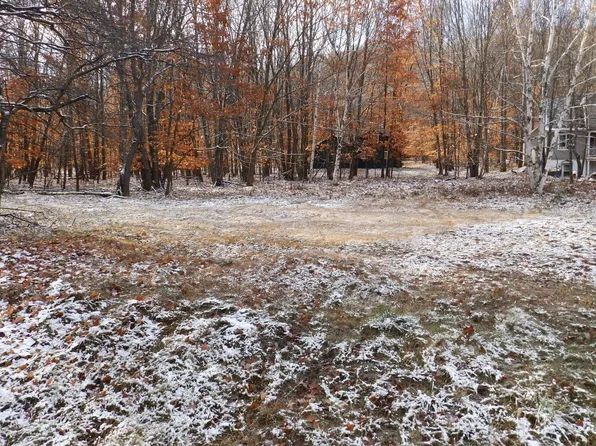 LOT 172 Foothills Trl, Gaylord, MI 49735