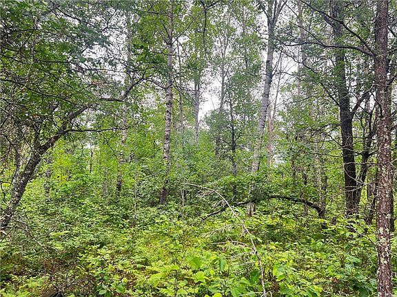 3rd image of N13775 Flowage Road
