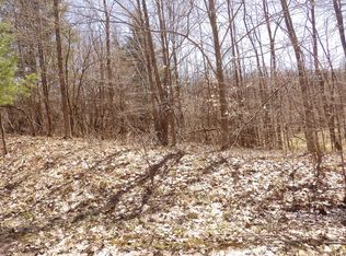 23042 Miramichi Dr, Evart, MI
