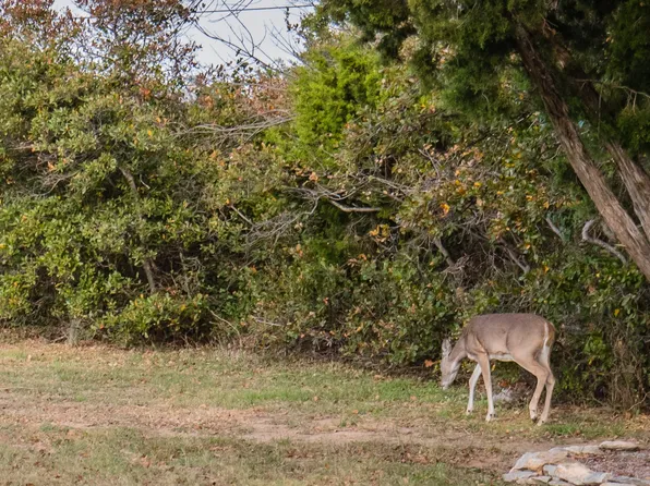 LOT 95 Cliffs Dr, Graford, TX 76449