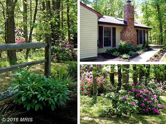 Lush Landscaping / Quality Hardscaping