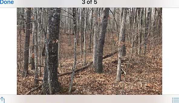 1st image of 13 Oakburn Ct