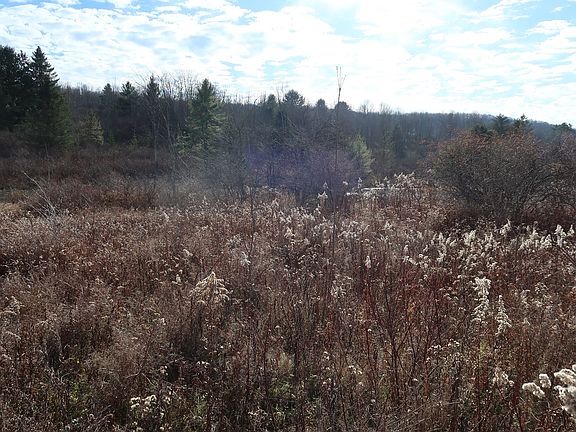 3rd image of County Road 35
