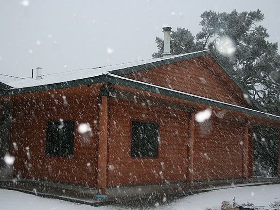 Snow day!