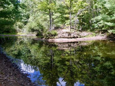 V/l Lame Duck Truck Trl, Alger, MI, 48610