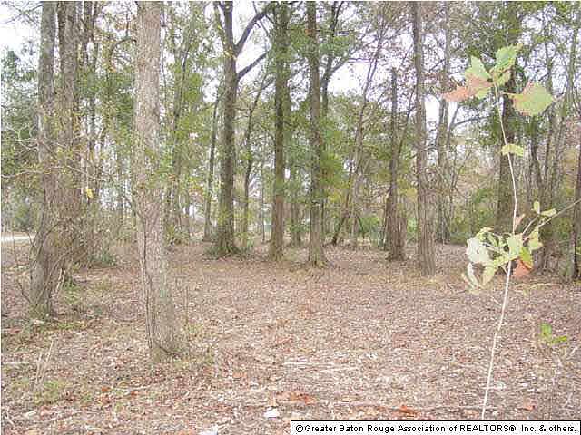 2nd image of Lero Howe Ln