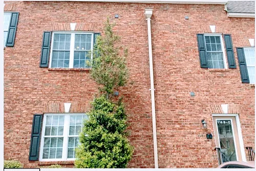 116 Northwynd Cir #C Photo 1