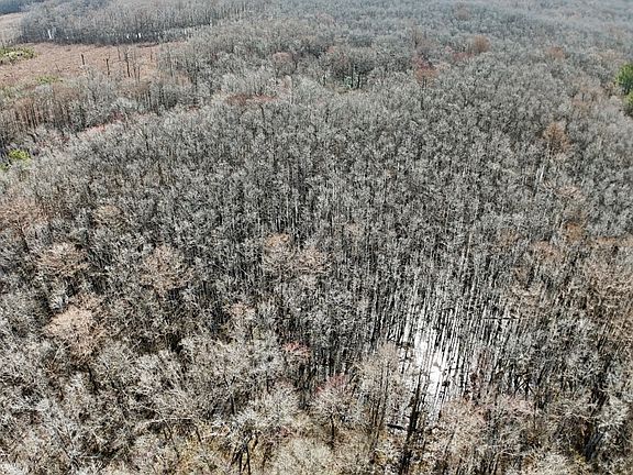 5th image of 0 Bluefoot Rd