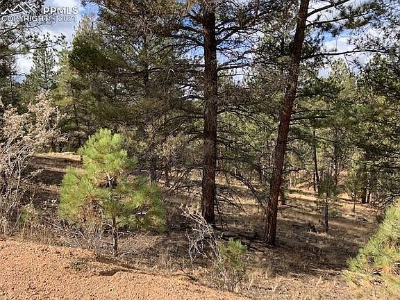 4th image of 124 Navajo Trl