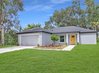 300 Maytown Rd, Osteen, FL 32764