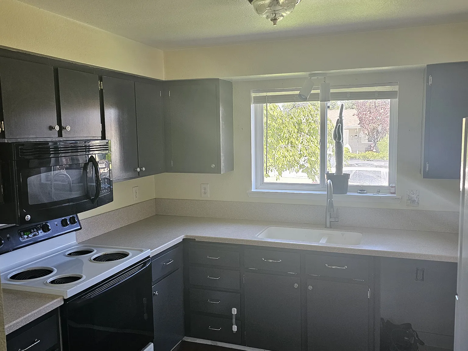 2 bed, 936 sqft, $1,750 — Photo 4