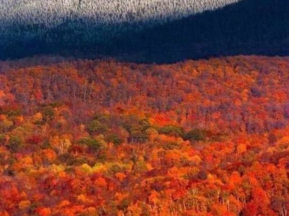 walk to the Adirondack Park