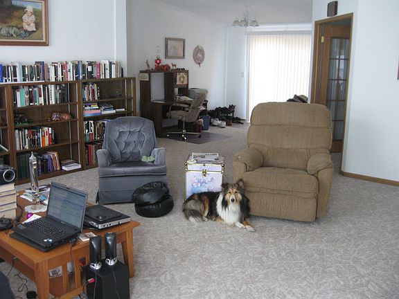 Living room--view to back patio