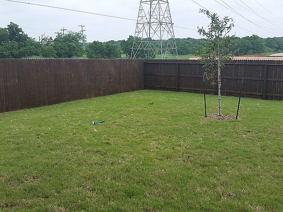 Left side of back yard