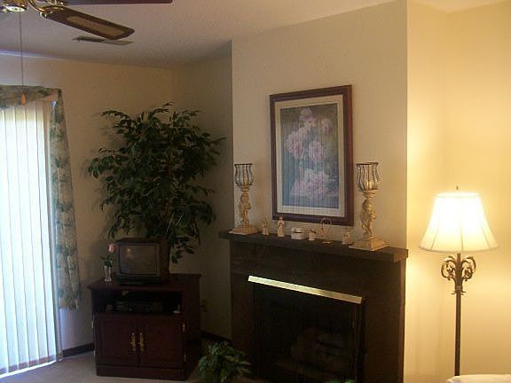 Living Room Fireplace