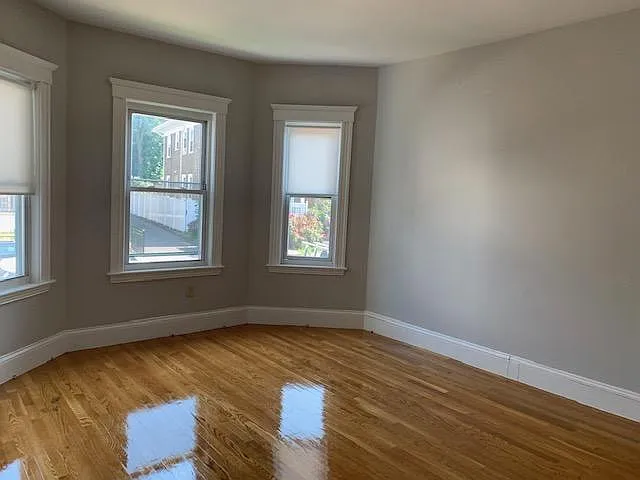 19 Roseclair St — Photo 4