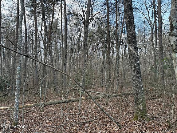 4th image of N Laurel Loop