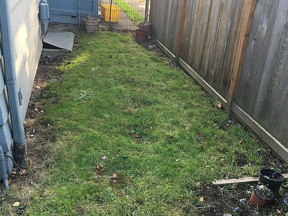 Side yard
