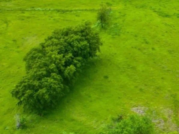 0 E Davis Rd, Durant, OK 74701