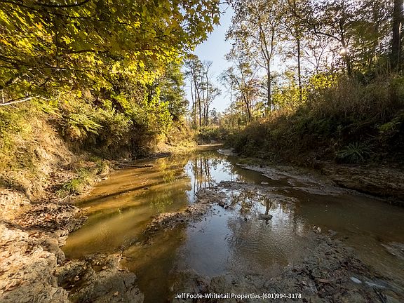 4th image of Rodney Rd Lot Wp001